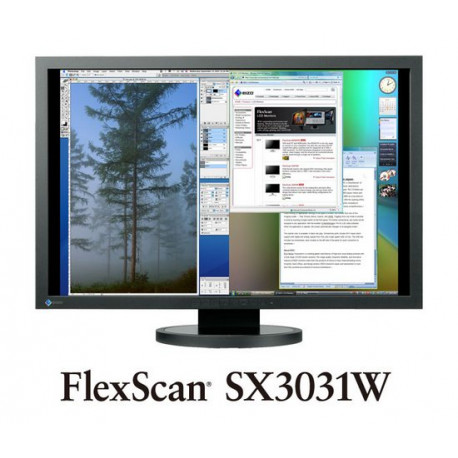Display Eizo FlexScan SX3031W-BK