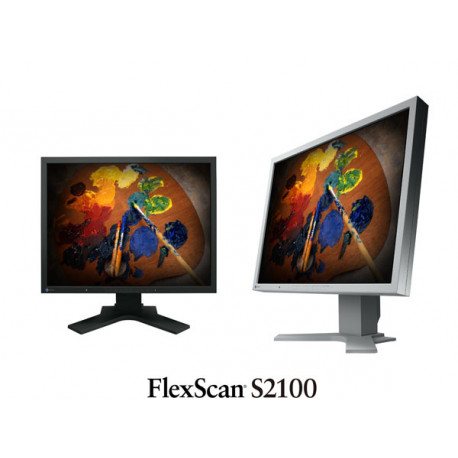 Display Eizo FlexScan S2100-BK Display Eizo FlexScan S2100-BK
