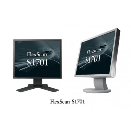 монитор Eizo FlexScan S1701SE монитор Eizo FlexScan S1701SE