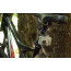 Accessory GoPro Handlebar Seatpost / Pole Mount - накрайник за монтаж върху тръби