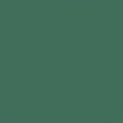 Colorama LL CO137 Paper background 2.72 x 11 m (Spruce Green)