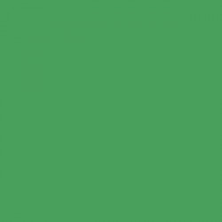 Colorama LL CO833 Paper Background 3.55X15M - Green Screen