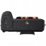 фотоапарат Sony A7S II + стабилизатор ikan DS-2A Beholder Gimbal