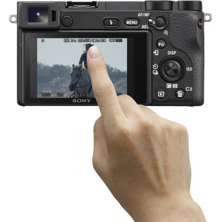 Camera Sony A6500 + Lens | 180020423 | Photosynthesis