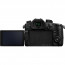 Camera Panasonic Lumix GH5 + Lens Panasonic Leica DG Summilux 25mm f / 1.4 ASPH. II + Battery Panasonic Lumix DMW-BLF19E Battery Pack