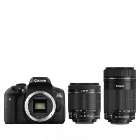 DSLR camera Canon EOS 750D + Lens Canon EF-S 18-55mm IS STM + Lens Canon EF-S 55-250mm IS STM