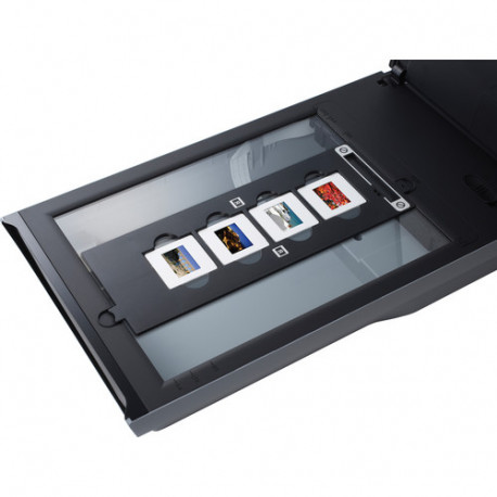 Scanners Canon Canoscan 9000F Mark II | PhotoSynthesis