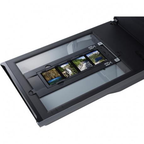 Scanners Canon Canoscan 9000F Mark II | PhotoSynthesis