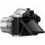 Olympus E-M10 III (сребрист) + Lens Olympus ZD Micro 14-42mm f / 3.5-5.6 EZ ED MSC (Silver) + Lens Olympus MFT 45mm F/1.8 MSC