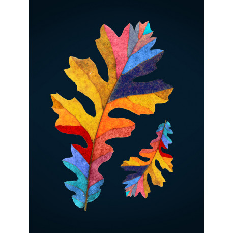 фото-сувенир Чрез разстоянието – близостта фото-сувенир Чрез разстоянието – близостта