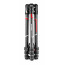 Manfrotto Befree GT Carbon Travel Tripod (Black)