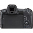 Camera Canon EOS R + adapter for EF / EF-S lenses + Video Device Atomos Ninja V