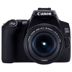 DSLR camera Canon EOS 250D + Lens Canon EF-S 18-55mm f/3.5-5.6 IS + Memory card Lexar Professional SDXC 1066X UHS-I 64GB