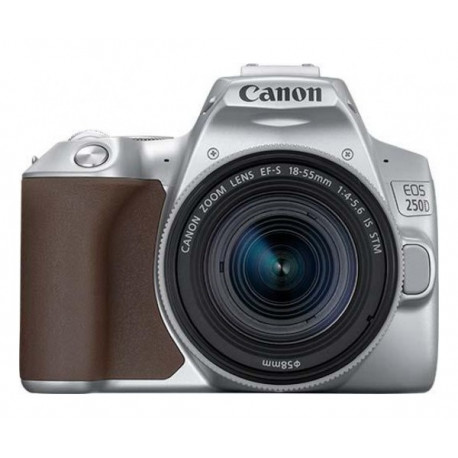 DSLR camera Canon EOS 250D (Silver) + Canon EF-S 18-55mm f / 3.5-5.6 IS Lens + Memory card Lexar 32GB Professional UHS-I SDHC Memory Card (U3)