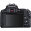 DSLR camera Canon EOS 250D + Lens Canon 18-55mm F/3.5-5.6 DC III