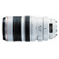 Canon EF 100-400mm f/4.5-5.6L IS USM (употребяван)
