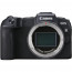Camera Canon EOS RP + Lens Canon RF 85mm f / 2 Macro IS STM