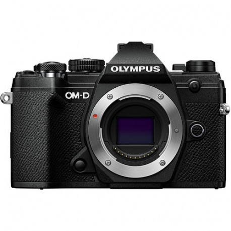 Camera Olympus OM-D E-M5 MARK III (black) + Audio recorder Olympus LS-P1 LineArt PCM Recorder Video Kit