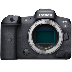 Camera Canon EOS R5 + Battery grip Canon BG-R10 Battery Grip + Battery Canon LP-E6NH Battery Pack