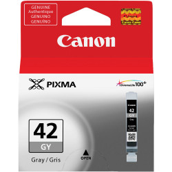 Accessory Canon CLI-42GY Gray
