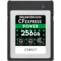 Memory card Delkin Devices CFexpress 256GB