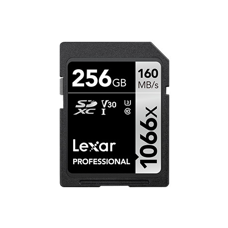 Professional SDXC 1066X UHS-I 256GB