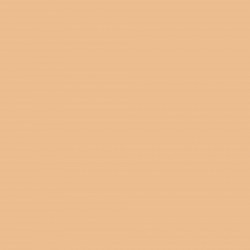 Colorama LL CO1100 Paper background 2.72 x 11 m (Caramel)