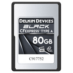 Memory card Delkin Devices BLACK CFexpress 80GB