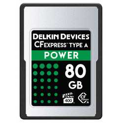 Memory card Delkin Devices POWER CFexpress 80GB