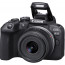 Canon EOS R10 + Lens Canon RF-S 18-150mm f / 3.5-6.3 IS STM + Lens Adapter Canon EF-EOS R Mount Adapter (EF / EF-S lens to R camera) + Lens Canon RF 85mm f / 2 Macro IS STM
