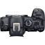 Camera Canon EOS R6 Mark II + Lens Canon RF 70-200mm f / 2.8L IS USM