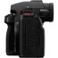 Camera Panasonic Lumix S5 II + Lens Panasonic Lumix S 50mm f / 1.8