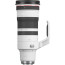 CANON RF 100-300MM F/2.8L IS USM