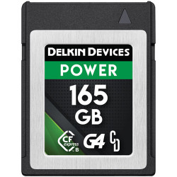 Memory card Delkin Devices Power CFexpress 165 GB Type B