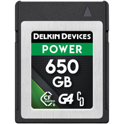 Memory card Delkin Devices Power CFexpress 650 GB Type B