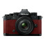 Nikon Zf (Bordeaux Red)