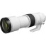  Camera Canon EOS R6 Mark III + Lens Canon RF 200-800mm f/6.3-9 IS USM