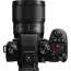 Lumix S 100mm f/2.8 Macro - Leica L