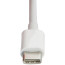 Datacolor Spyder USB-A to USB-C Adapter