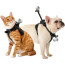 INSTA360 GO 3/3S PET HARNESS S