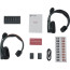 Hollyland SE Global Full-Duplex Intercom System 2S (2x Noise-Canceling Headset)