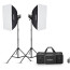 Godox MS300V-F Studio Flash Duo Studio Flash Kit