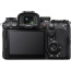 SONY ALPHA 1 II BODY