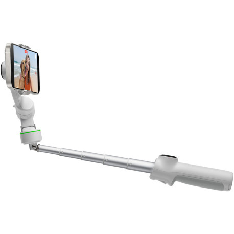 Video Stabilizer Insta360 Flow 2 Pro (gray) | PhotoSynthesis