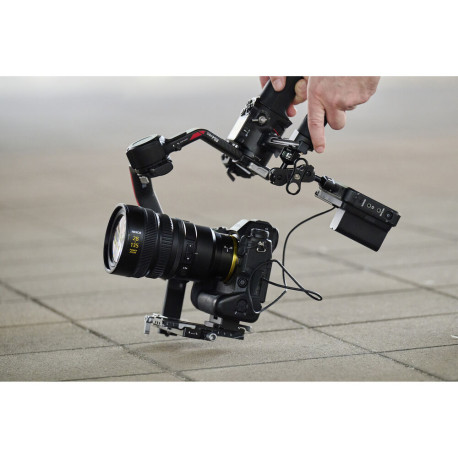 Camera Nikon Z6 III Lens 180022400 Photosynthesis