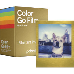 Film Polaroid Go Gold Frame Double Pack colorful