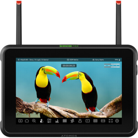 Display Atomos Shinobi 7 RX