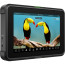 Display Atomos Shinobi 7 RX