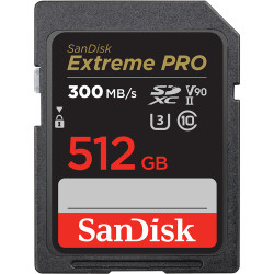 SanDisk 