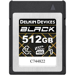 Memory card Delkin Devices Memory card Delkin Devices